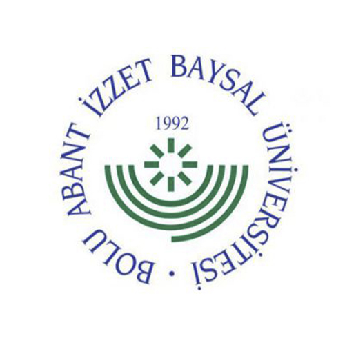 bolu abant izzet baysal &uuml;niversitesi kamp&uuml;s alt yapı inşaatı